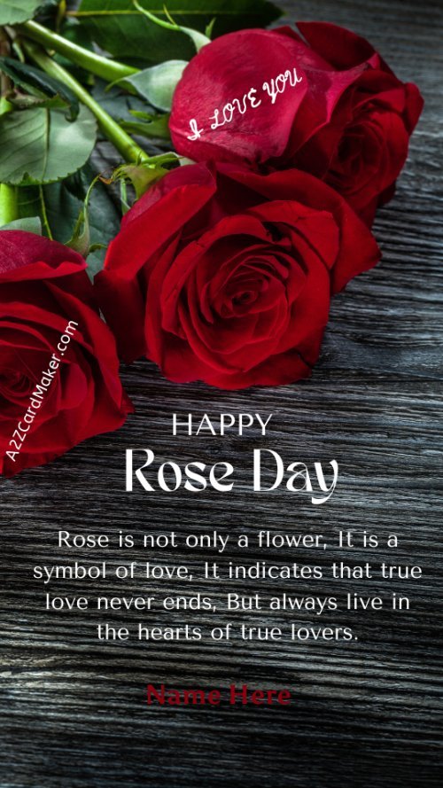 Happy Rose Day Love Wishes Greeting Instagram Story